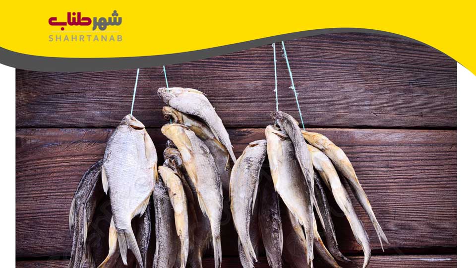 کاربرد طناب انبار ماهی